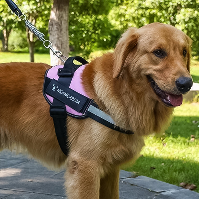 Reflekterende alt-i-ett hundesele uten trekkfunksjon