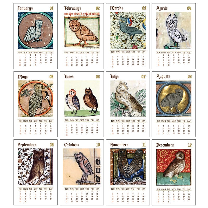 🦉Rare middelalderuglekalender 2024📅